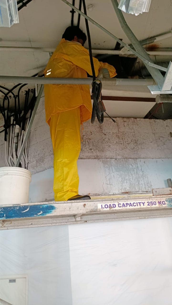 Sewer Line Repair & Replacement